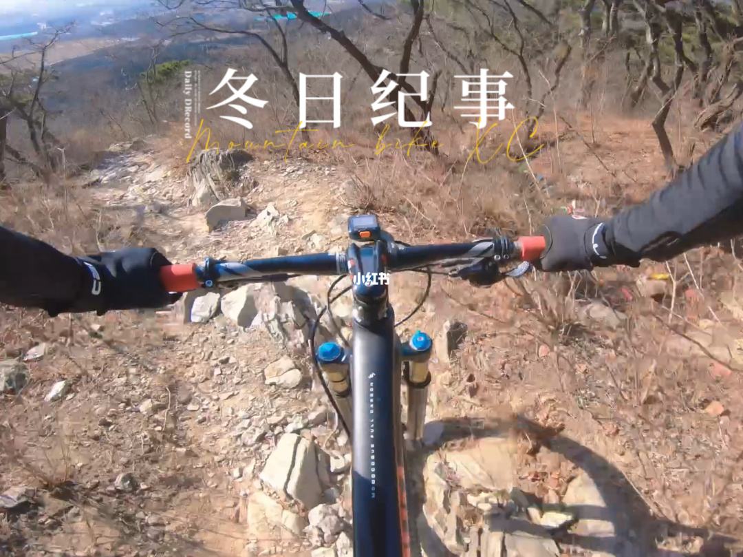 本行,本行的拼音 本行,本行的拼音