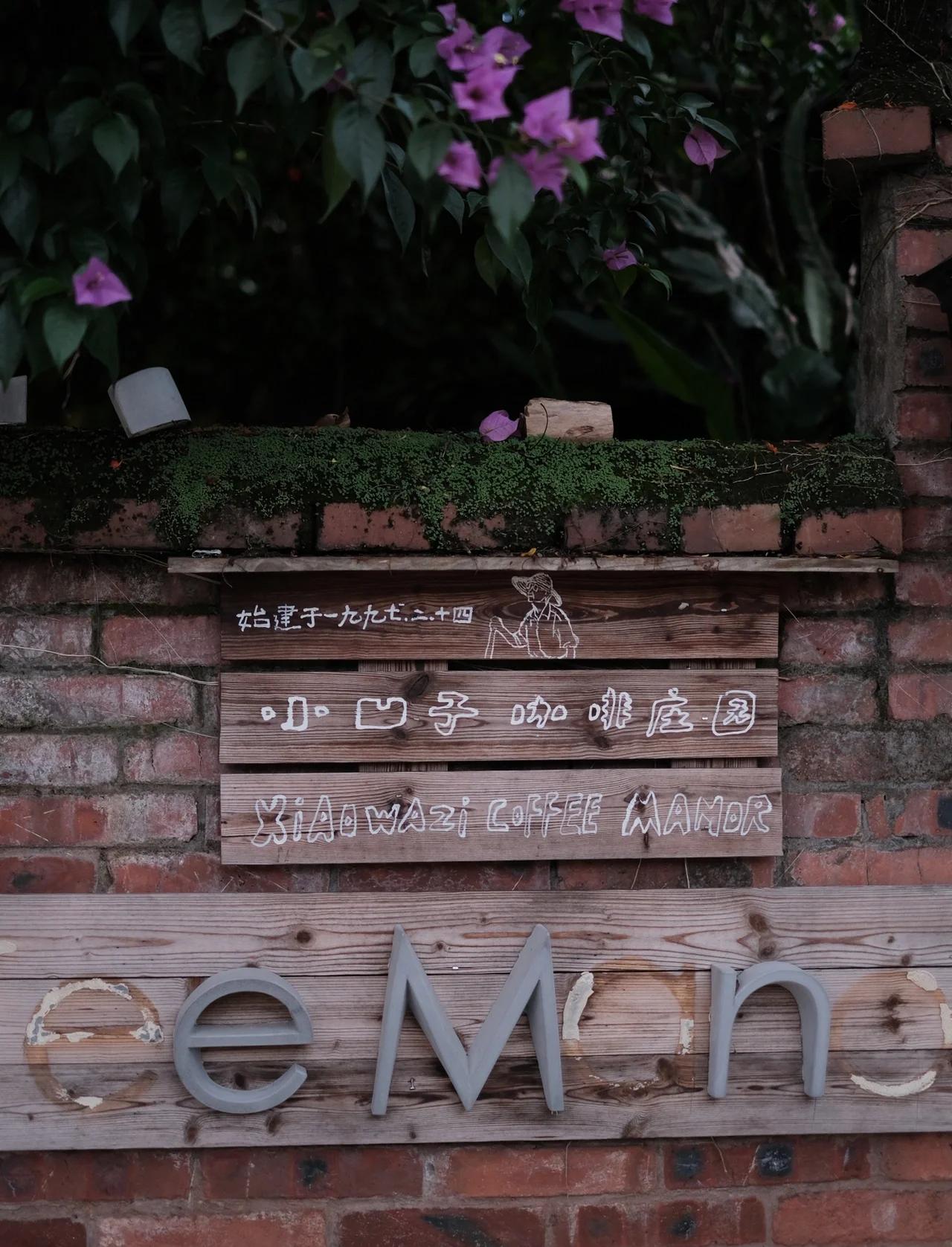 lofe，lofe是什么意思