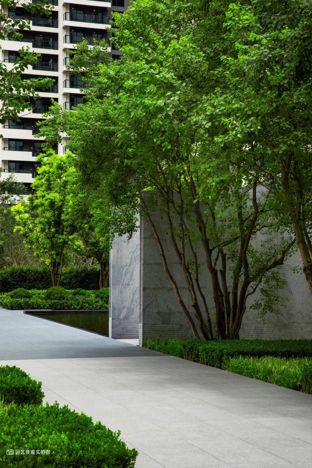 五矿西棠，五矿西棠怎么这么贵