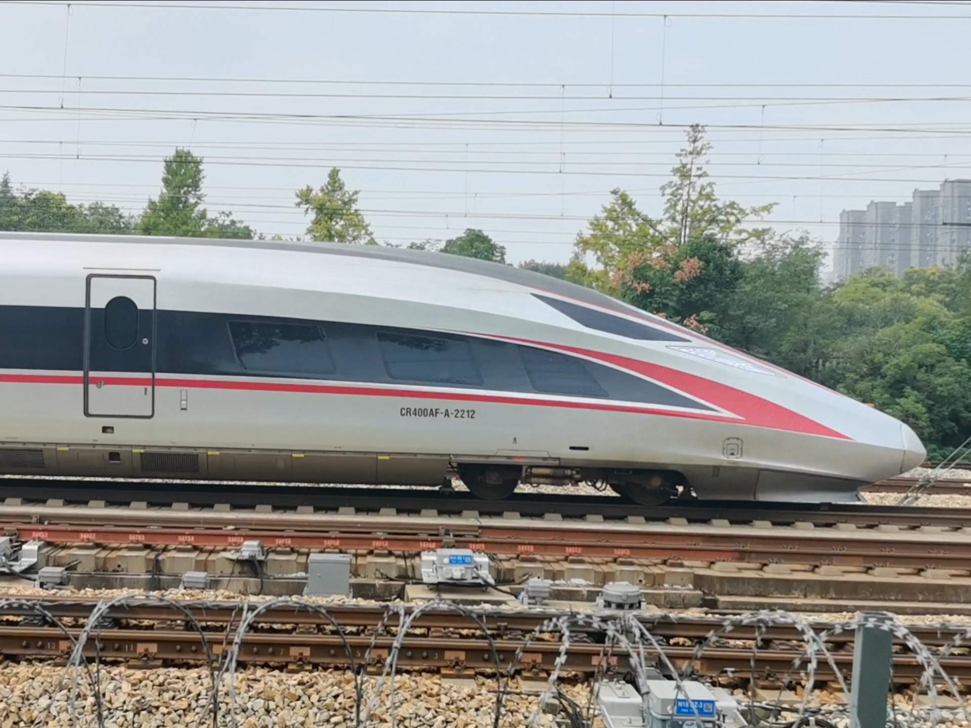 2212，22123交管网下载