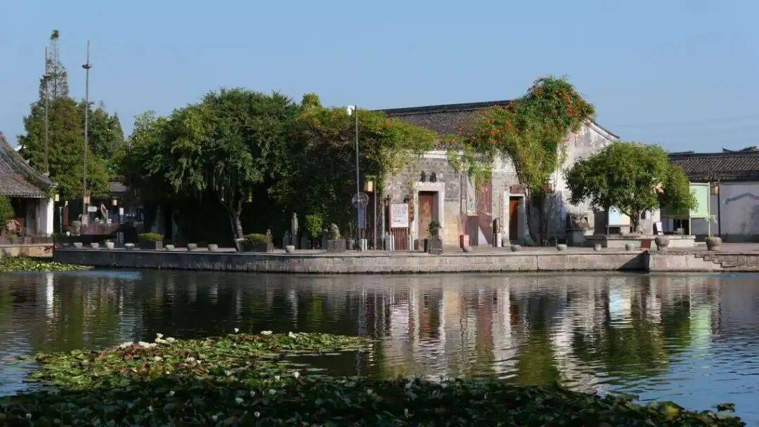 今日镇海，今日镇海数字报